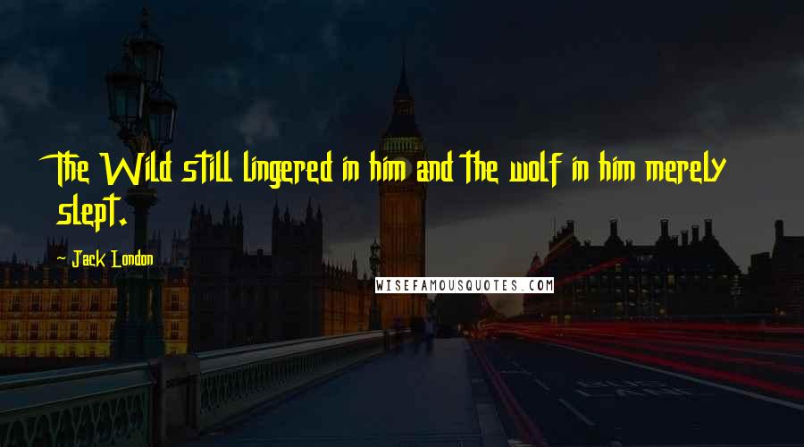 Jack London Quotes: The Wild still lingered in him and the wolf in him merely slept.