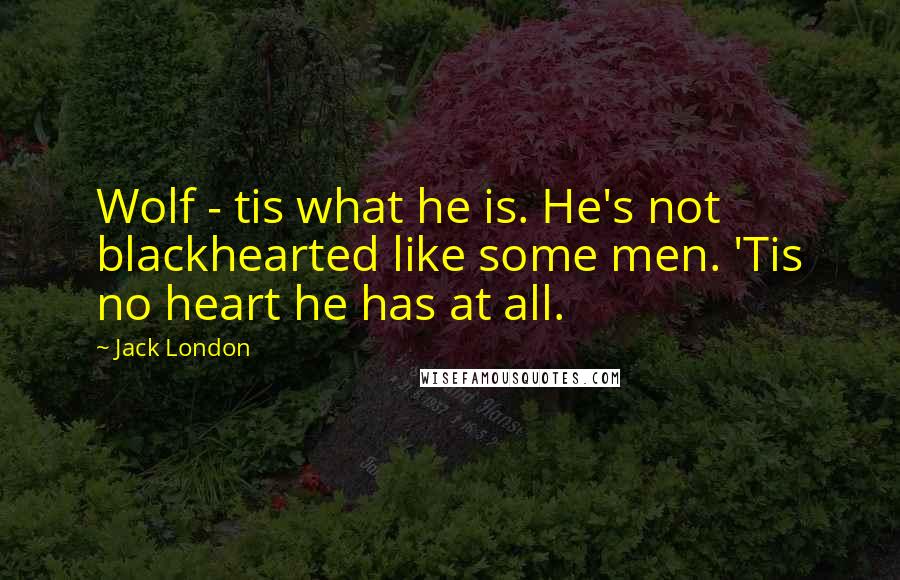 Jack London Quotes: Wolf - tis what he is. He's not blackhearted like some men. 'Tis no heart he has at all.