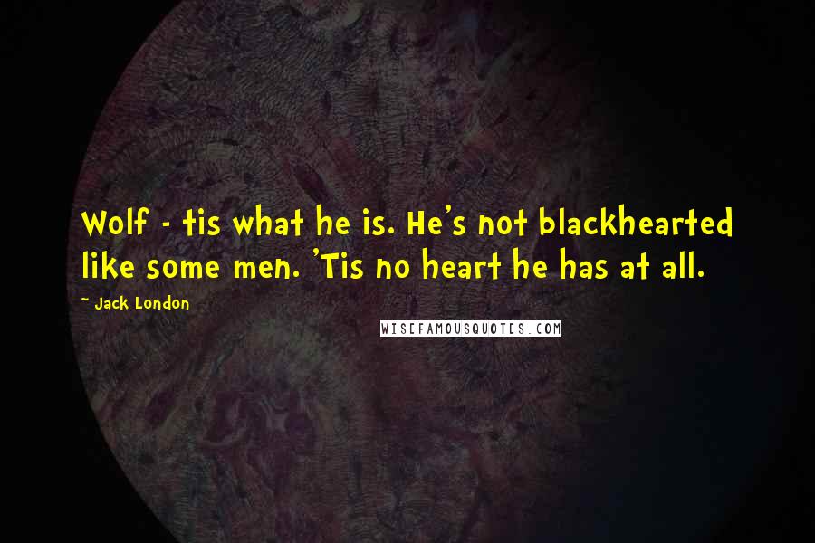 Jack London Quotes: Wolf - tis what he is. He's not blackhearted like some men. 'Tis no heart he has at all.