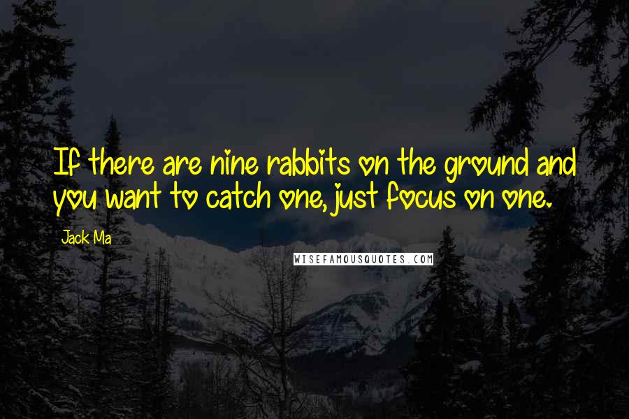 Jack Ma Quotes: If there are nine rabbits on the ground and you want to catch one, just focus on one.