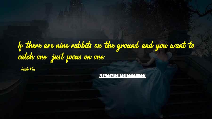 Jack Ma Quotes: If there are nine rabbits on the ground and you want to catch one, just focus on one.