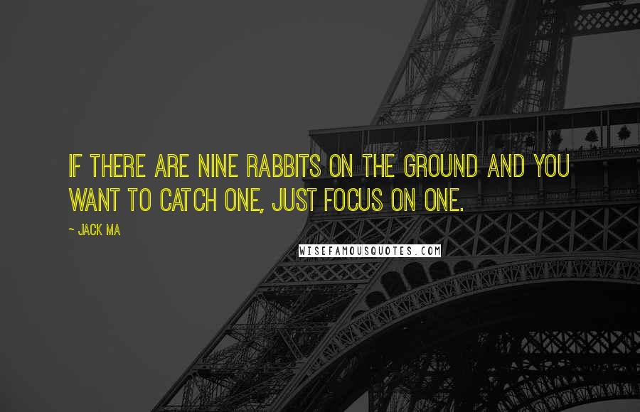 Jack Ma Quotes: If there are nine rabbits on the ground and you want to catch one, just focus on one.