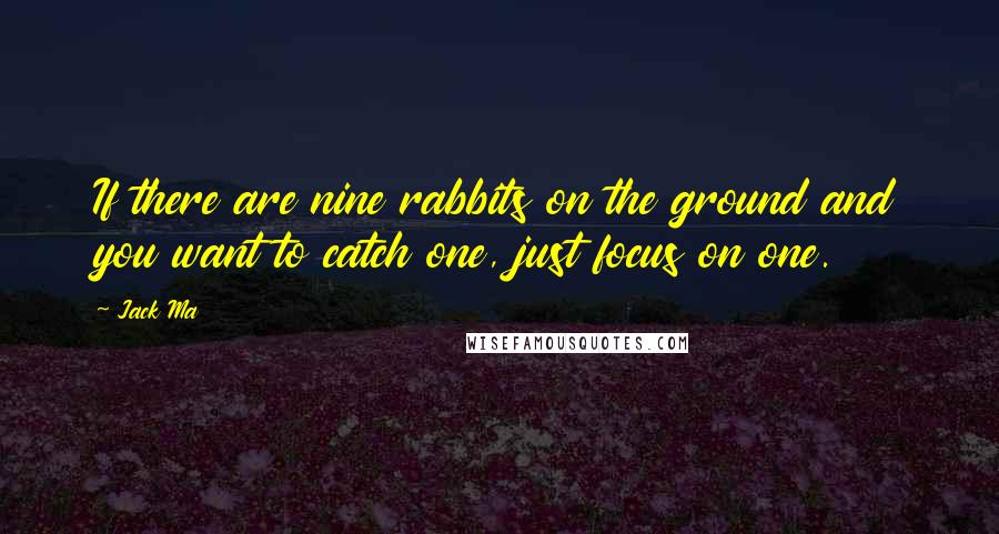 Jack Ma Quotes: If there are nine rabbits on the ground and you want to catch one, just focus on one.