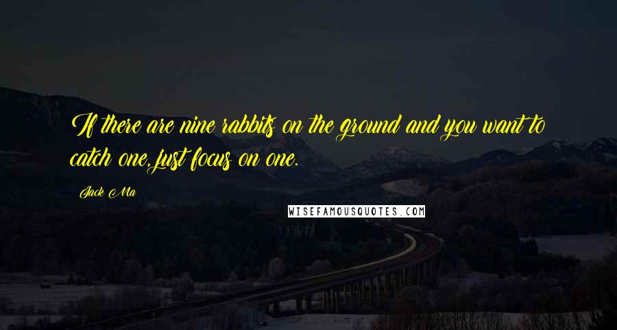 Jack Ma Quotes: If there are nine rabbits on the ground and you want to catch one, just focus on one.