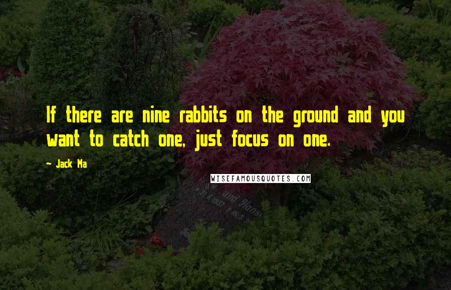 Jack Ma Quotes: If there are nine rabbits on the ground and you want to catch one, just focus on one.