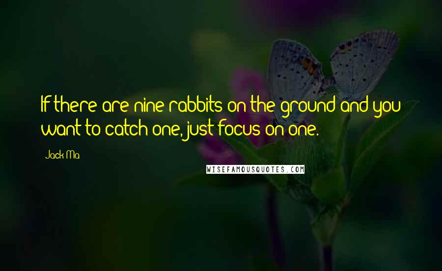 Jack Ma Quotes: If there are nine rabbits on the ground and you want to catch one, just focus on one.