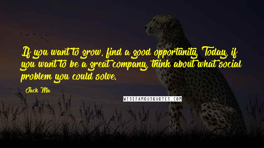 Jack Ma Quotes: If you want to grow, find a good opportunity. Today, if you want to be a great company, think about what social problem you could solve.