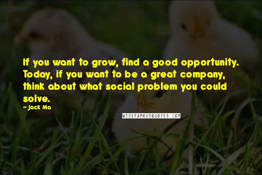 Jack Ma Quotes: If you want to grow, find a good opportunity. Today, if you want to be a great company, think about what social problem you could solve.