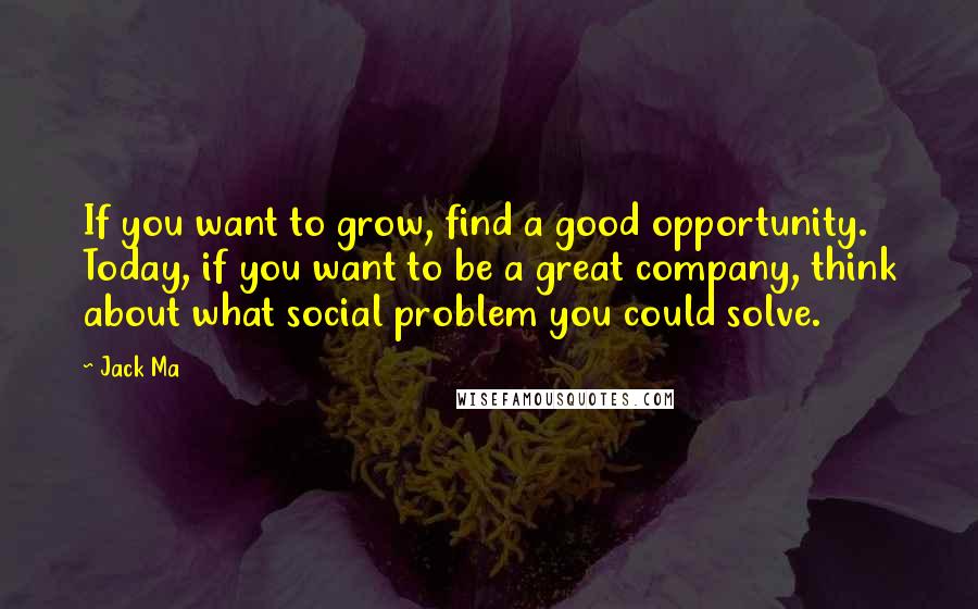 Jack Ma Quotes: If you want to grow, find a good opportunity. Today, if you want to be a great company, think about what social problem you could solve.