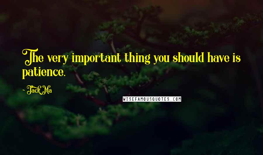 Jack Ma Quotes: The very important thing you should have is patience.