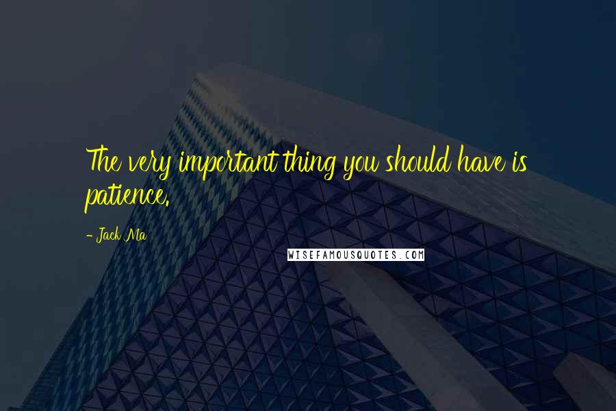 Jack Ma Quotes: The very important thing you should have is patience.