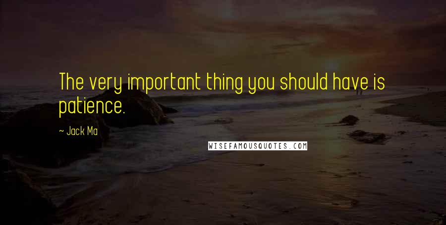 Jack Ma Quotes: The very important thing you should have is patience.