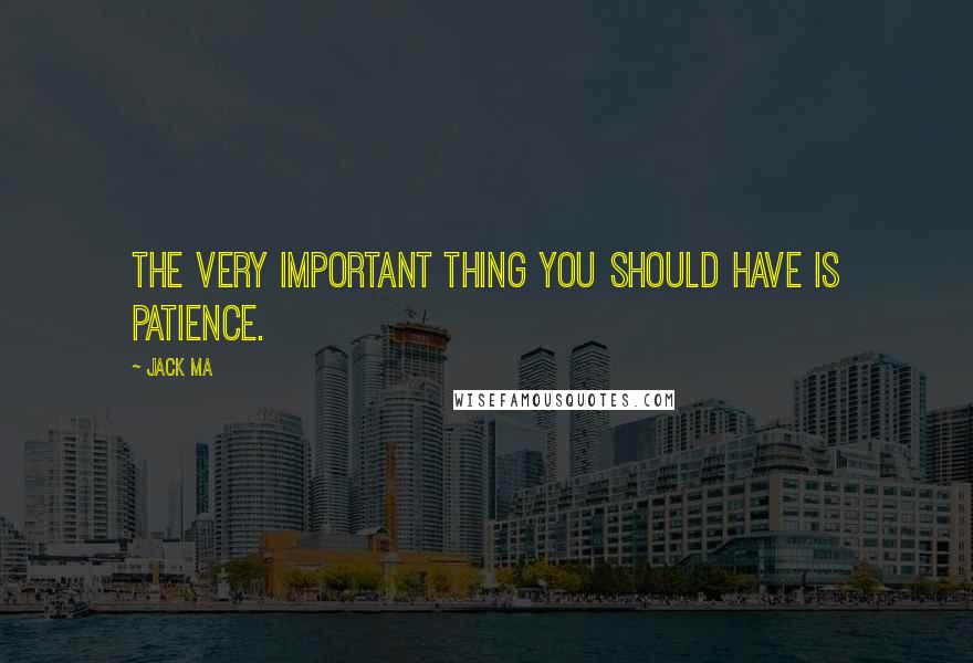 Jack Ma Quotes: The very important thing you should have is patience.