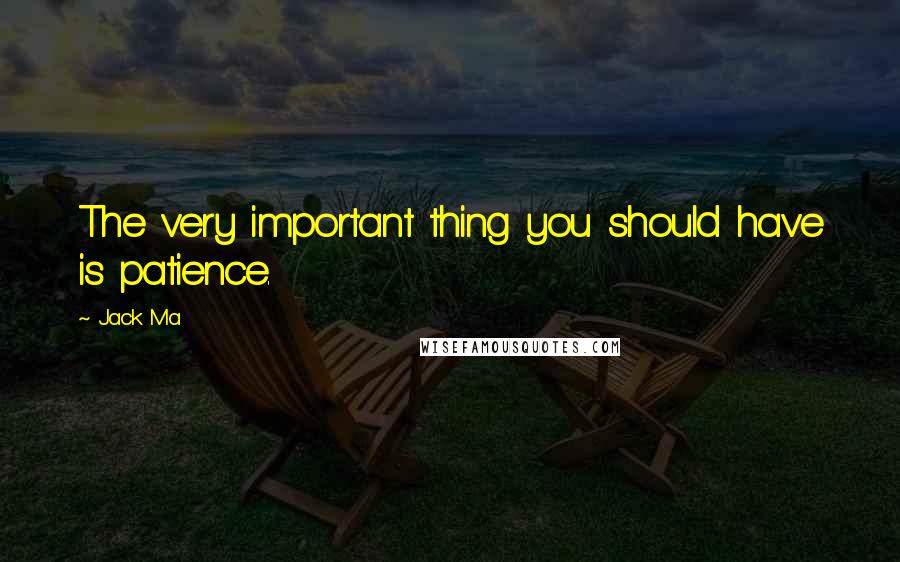 Jack Ma Quotes: The very important thing you should have is patience.