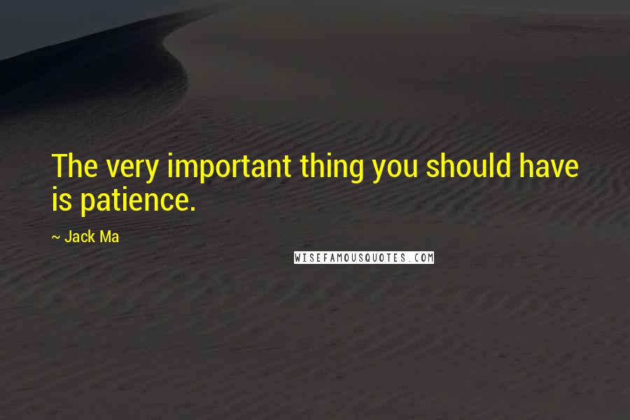 Jack Ma Quotes: The very important thing you should have is patience.