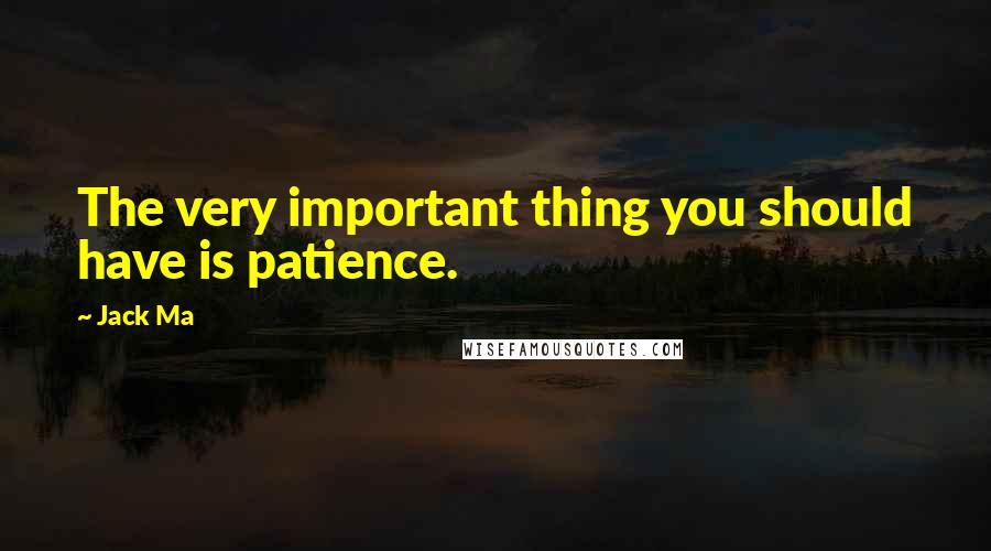 Jack Ma Quotes: The very important thing you should have is patience.
