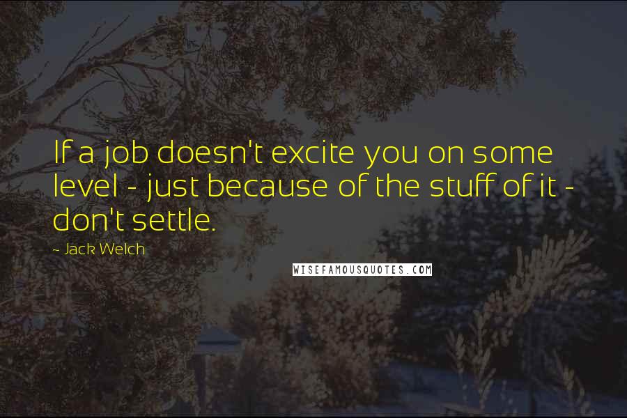 Jack Welch Quotes: If a job doesn't excite you on some level - just because of the stuff of it - don't settle.