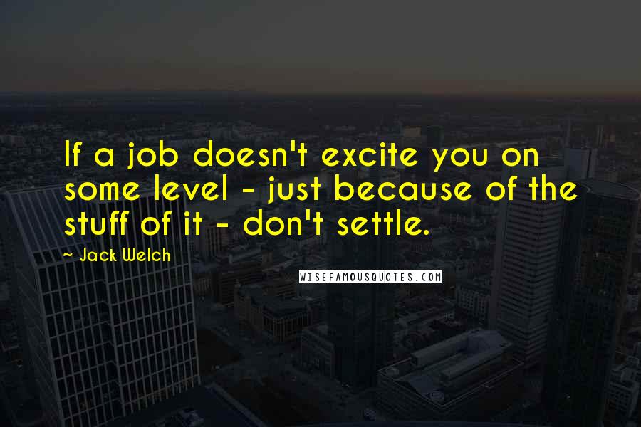 Jack Welch Quotes: If a job doesn't excite you on some level - just because of the stuff of it - don't settle.