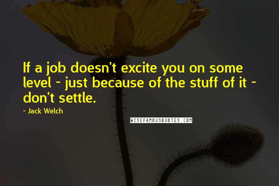 Jack Welch Quotes: If a job doesn't excite you on some level - just because of the stuff of it - don't settle.