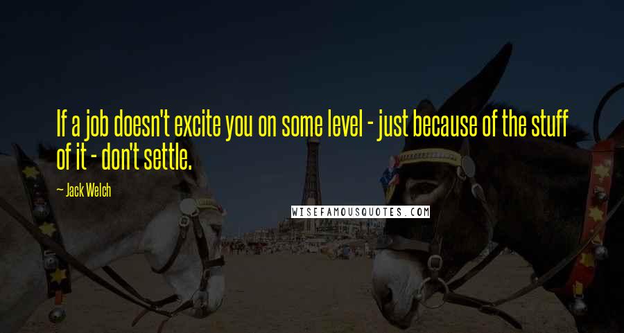 Jack Welch Quotes: If a job doesn't excite you on some level - just because of the stuff of it - don't settle.