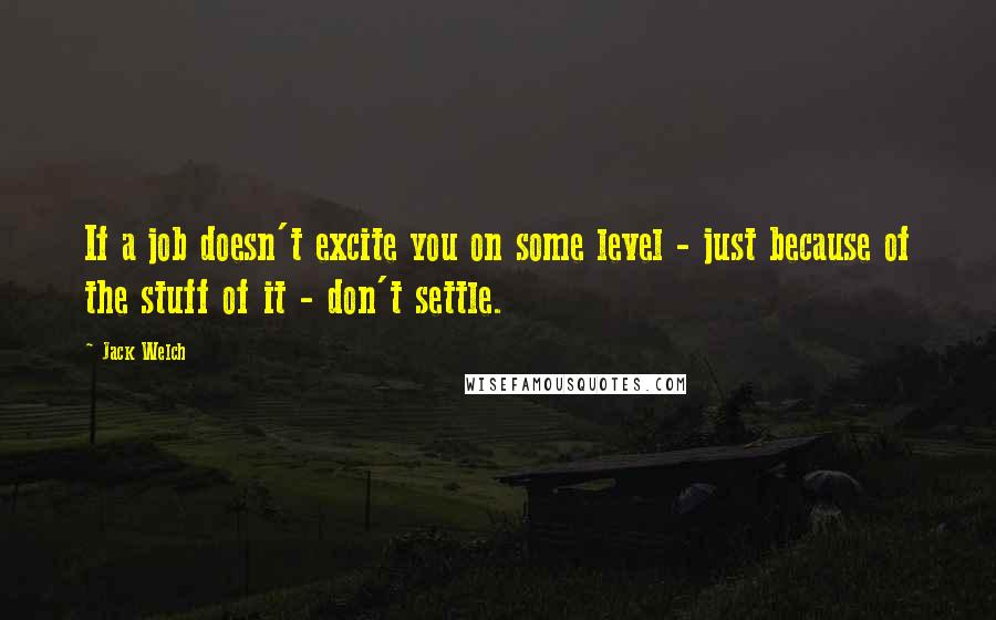 Jack Welch Quotes: If a job doesn't excite you on some level - just because of the stuff of it - don't settle.