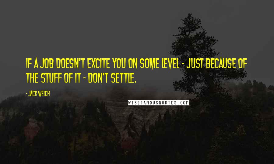 Jack Welch Quotes: If a job doesn't excite you on some level - just because of the stuff of it - don't settle.