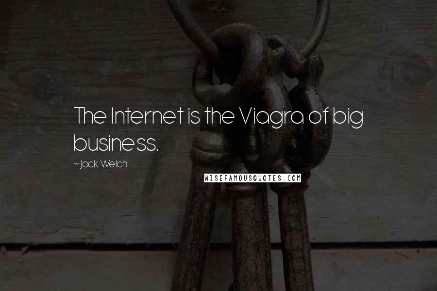Jack Welch Quotes: The Internet is the Viagra of big business.