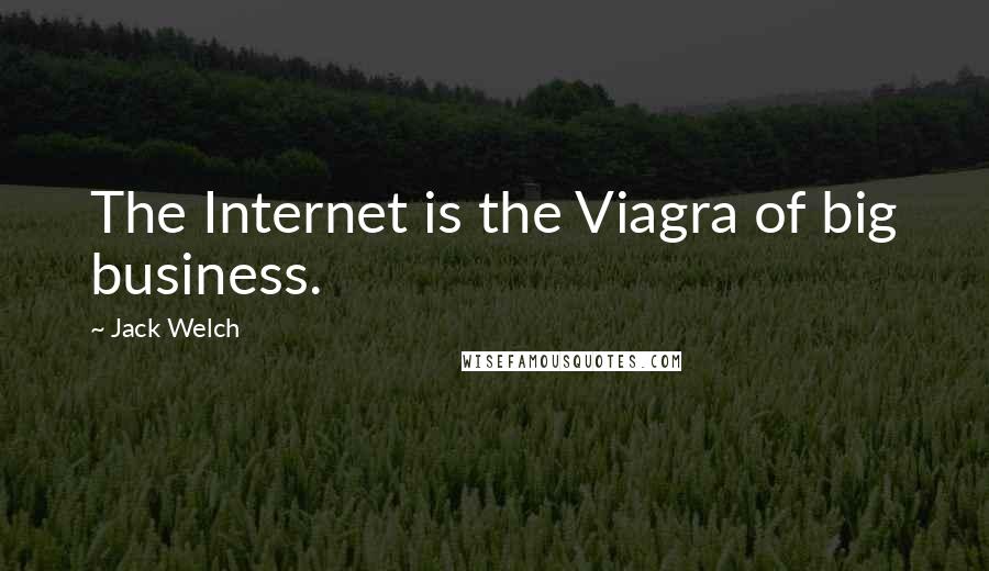Jack Welch Quotes: The Internet is the Viagra of big business.