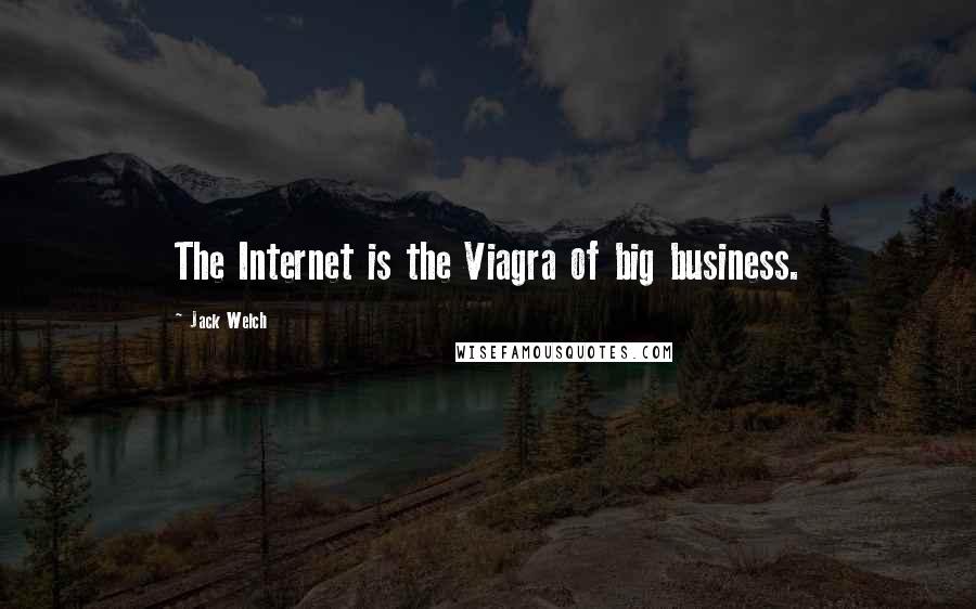 Jack Welch Quotes: The Internet is the Viagra of big business.