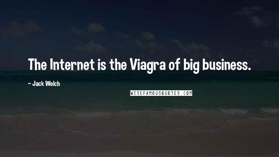 Jack Welch Quotes: The Internet is the Viagra of big business.