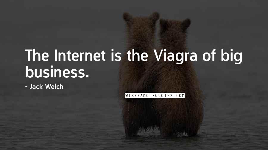 Jack Welch Quotes: The Internet is the Viagra of big business.