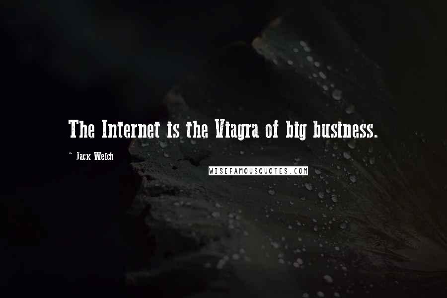 Jack Welch Quotes: The Internet is the Viagra of big business.