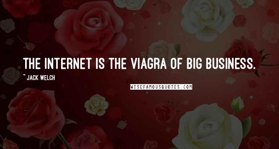 Jack Welch Quotes: The Internet is the Viagra of big business.
