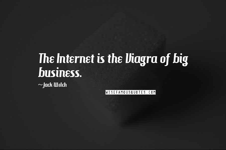 Jack Welch Quotes: The Internet is the Viagra of big business.