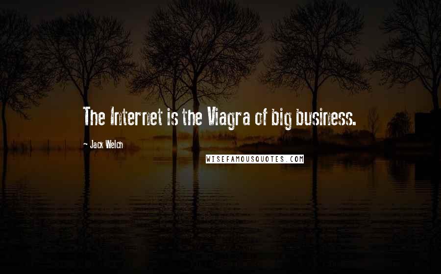 Jack Welch Quotes: The Internet is the Viagra of big business.