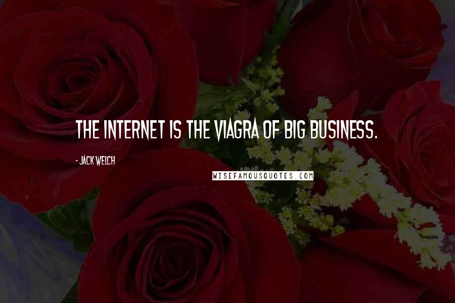 Jack Welch Quotes: The Internet is the Viagra of big business.