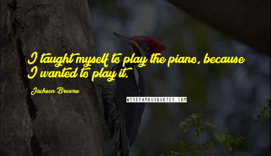 Jackson Browne Quotes: I taught myself to play the piano, because I wanted to play it.