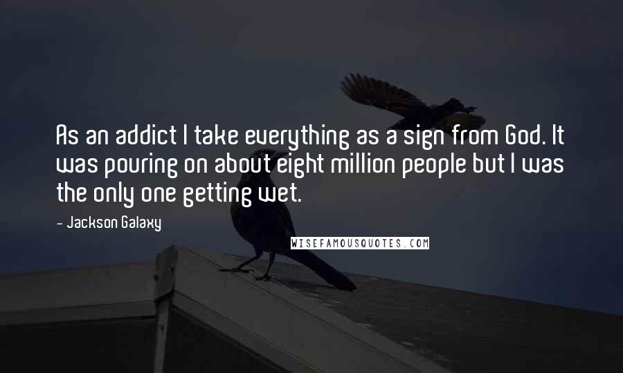 Jackson Galaxy Quotes: As an addict I take everything as a sign from God. It was pouring on about eight million people but I was the only one getting wet.