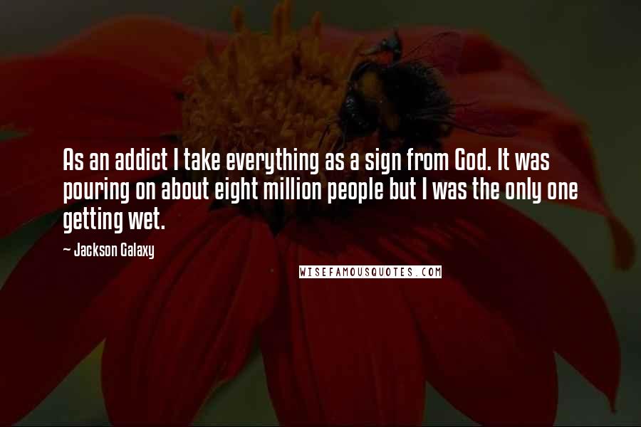 Jackson Galaxy Quotes: As an addict I take everything as a sign from God. It was pouring on about eight million people but I was the only one getting wet.