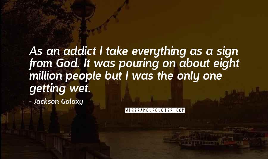 Jackson Galaxy Quotes: As an addict I take everything as a sign from God. It was pouring on about eight million people but I was the only one getting wet.