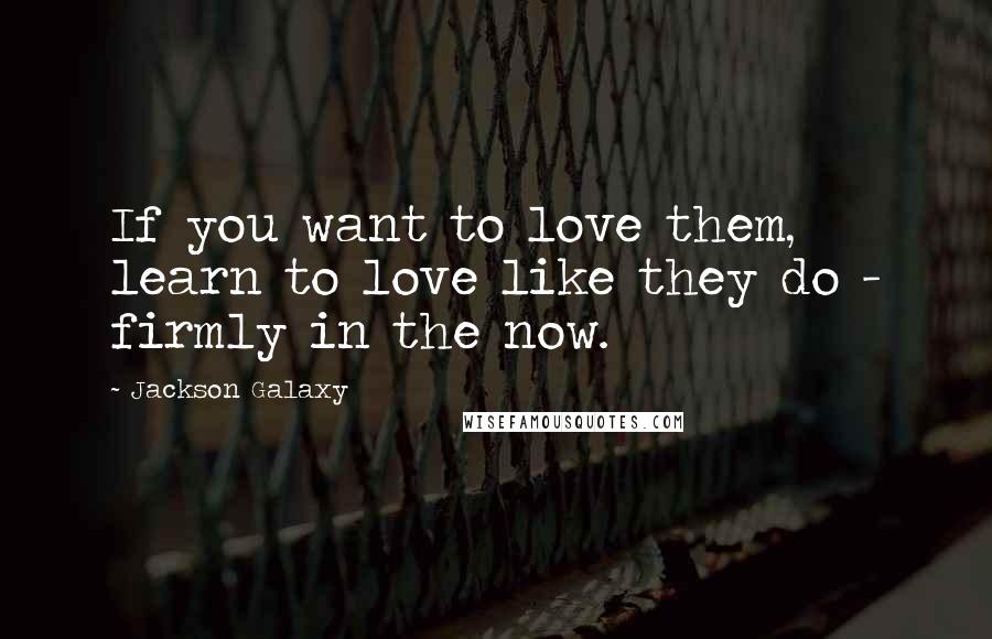 Jackson Galaxy Quotes: If you want to love them, learn to love like they do - firmly in the now.