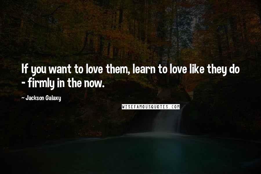 Jackson Galaxy Quotes: If you want to love them, learn to love like they do - firmly in the now.