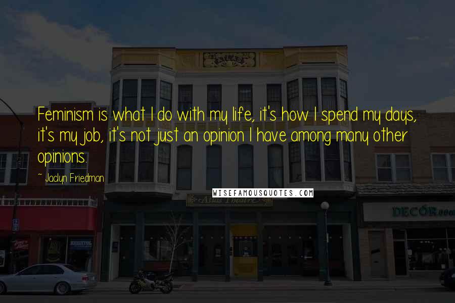 Jaclyn Friedman Quotes: Feminism is what I do with my life, it's how I spend my days, it's my job, it's not just an opinion I have among many other opinions.