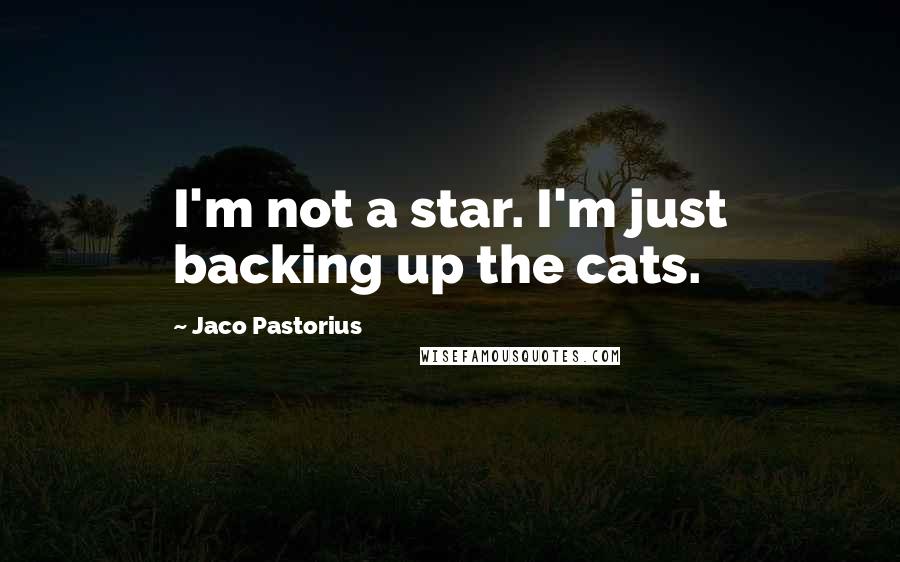 Jaco Pastorius Quotes: I'm not a star. I'm just backing up the cats.