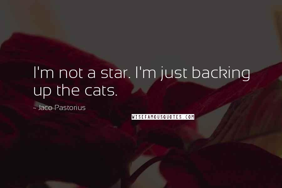 Jaco Pastorius Quotes: I'm not a star. I'm just backing up the cats.