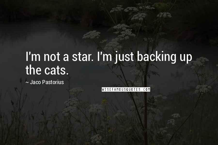 Jaco Pastorius Quotes: I'm not a star. I'm just backing up the cats.