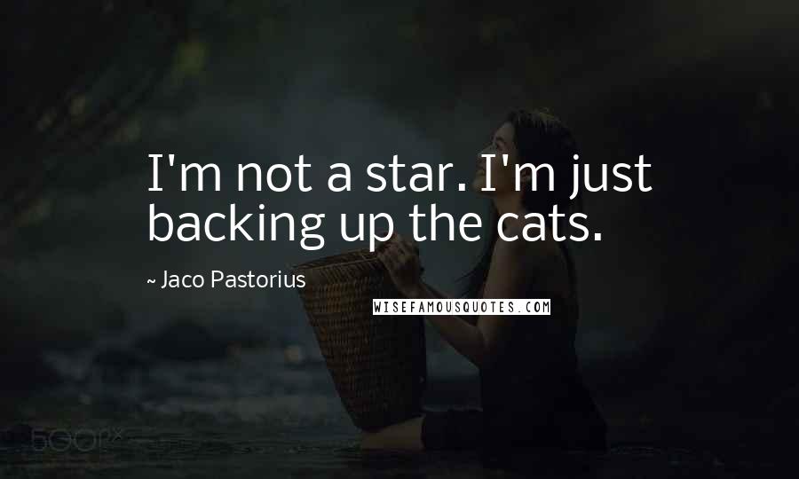Jaco Pastorius Quotes: I'm not a star. I'm just backing up the cats.
