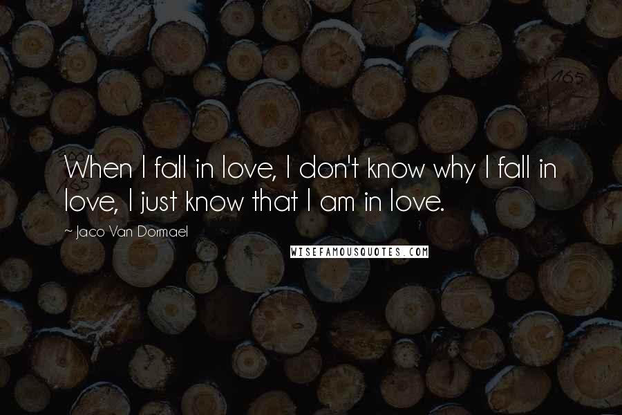 Jaco Van Dormael Quotes: When I fall in love, I don't know why I fall in love, I just know that I am in love.