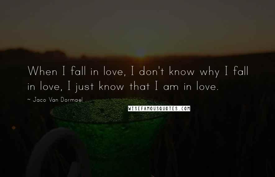 Jaco Van Dormael Quotes: When I fall in love, I don't know why I fall in love, I just know that I am in love.