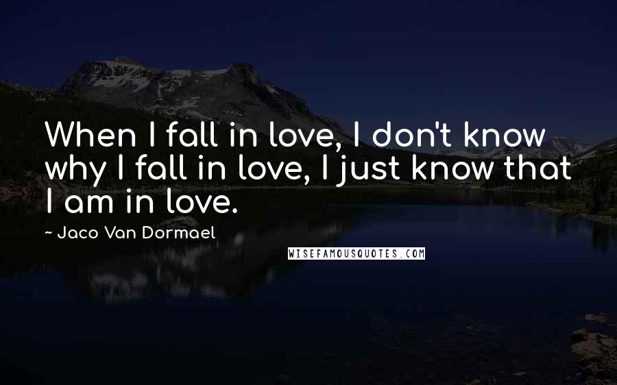 Jaco Van Dormael Quotes: When I fall in love, I don't know why I fall in love, I just know that I am in love.